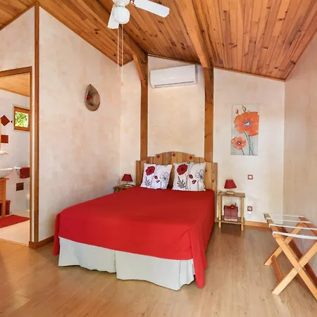 D'hotes Les Coquelicots Bed and Breakfast Fronton